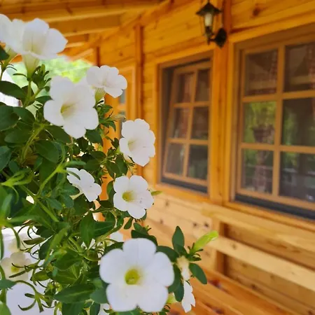 Prázdninový dům Rankic Mokra Gora