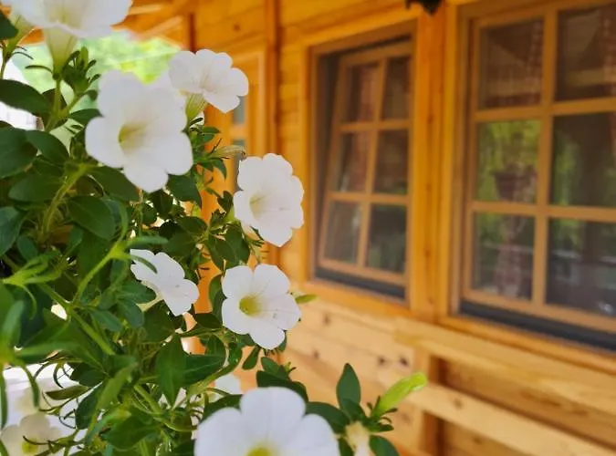 度假居 Rankic 莫克拉戈拉